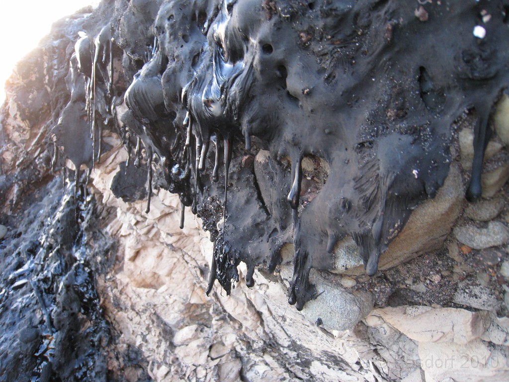 Carpinteria California 2010-02 0890.jpg - Thick and sloooowllly driping off the sides of the cliff.
